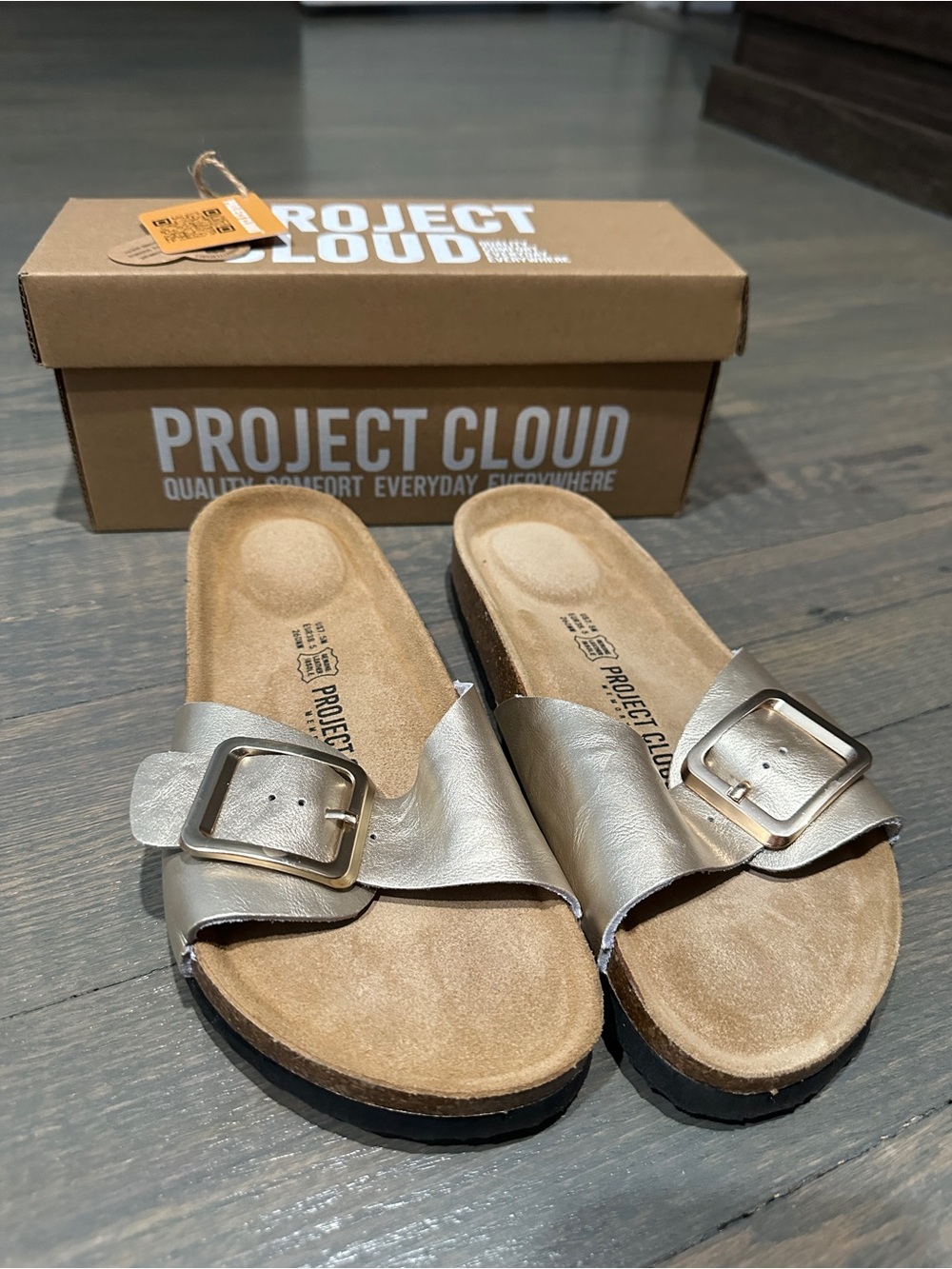 Project Cloud Metallic gold Slide Sandals